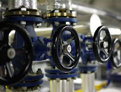 Ӧ������